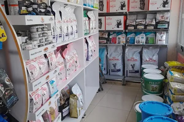 Akyurt Veteriner Kliniği Şarköy - Resim 3