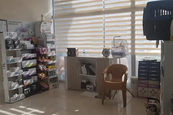 Akyurt Veteriner Kliniği Şarköy - Resim 6