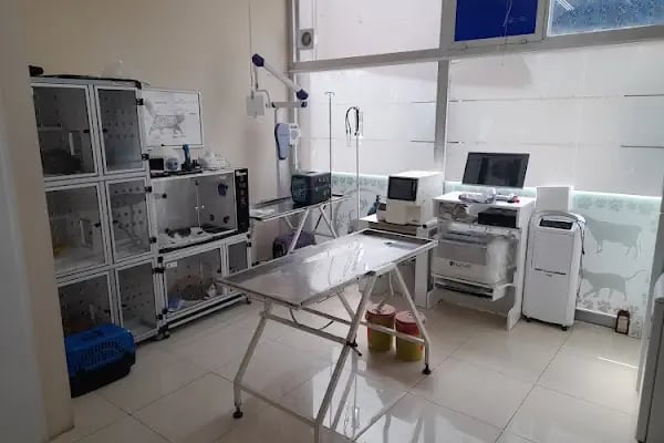 Akyurt Veteriner Kliniği Şarköy - Resim 2
