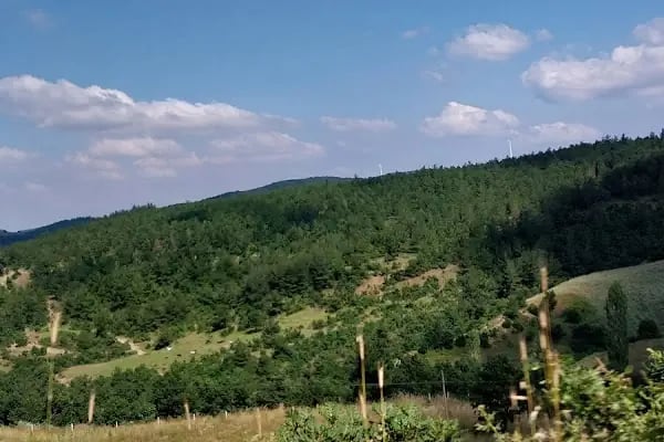 Baraj Mahallesi Muhtarlığı - Resim 7