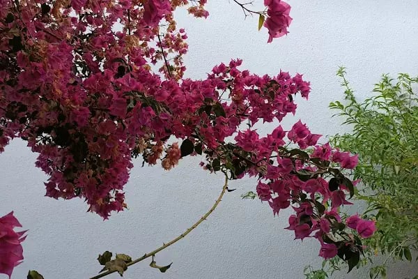 Anamur Özel Eğitim Merkezi Komutanlığı-TSK KAMP - Resim 3