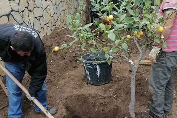 Kılıç Reklam Aliağa - Tabela, Dijital Baskı &amp; Web Tasarım Merkezi - Resim 8