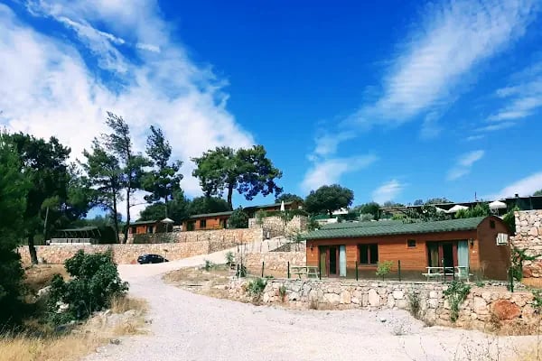 Tomato Bodrum - Resim 1
