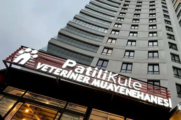 Patili Kule Veteriner Muayenehanesi - Resim 20