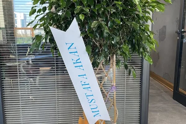 Anka Flowers &amp; Events | Beytepe - Bilkent - İncek - Ümitköy - Çayyolu - Yaşamkent Çiçekçi - Resim 7