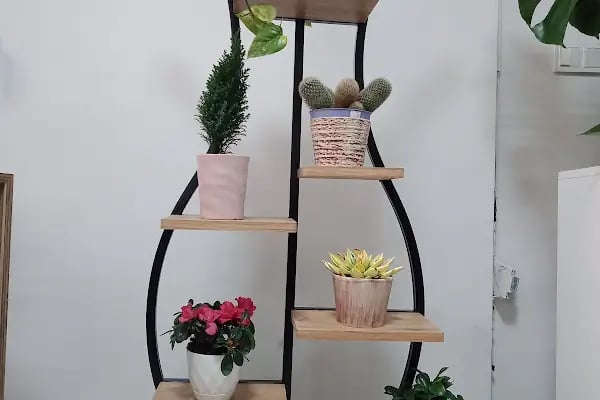 Erdinç Çiçekçilik,Çiçekçi, , Soğanlı Çiçek Gönder, Çiçek Kapında, Bursa içi Adrese Teslim - Resim 10