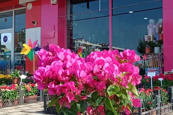 Erdinç Çiçekçilik,Çiçekçi, , Soğanlı Çiçek Gönder, Çiçek Kapında, Bursa içi Adrese Teslim - Resim 2