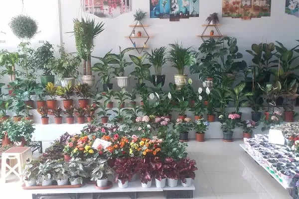 Erdinç Çiçekçilik,Çiçekçi, , Soğanlı Çiçek Gönder, Çiçek Kapında, Bursa içi Adrese Teslim - Resim 20