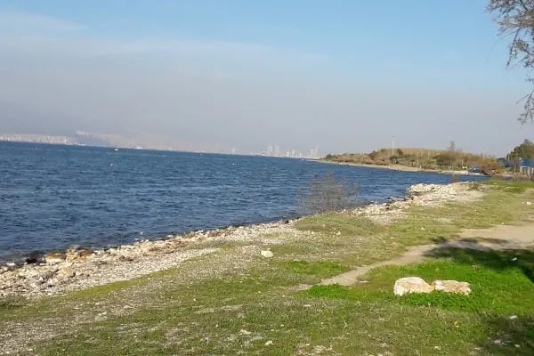 Güzel Sanatlar Parkı - Resim 14