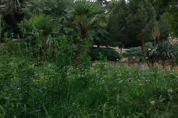 Güzel Sanatlar Parkı - Resim 10