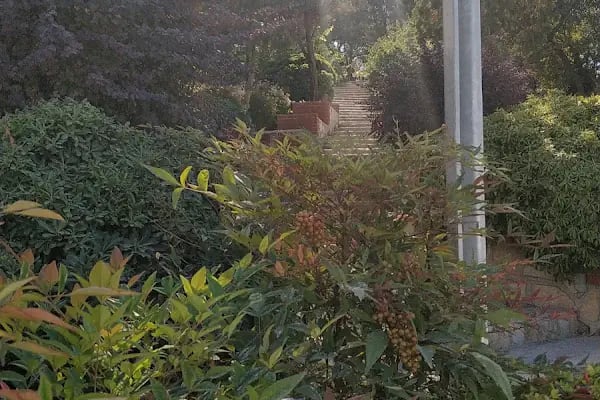 Güzel Sanatlar Parkı - Resim 8