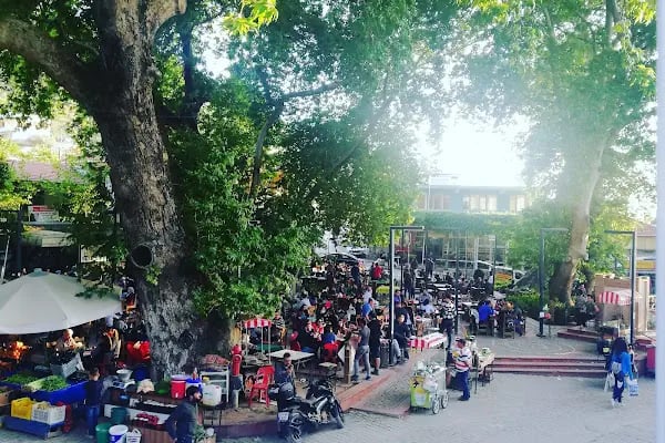 Güzel Sanatlar Parkı - Resim 19