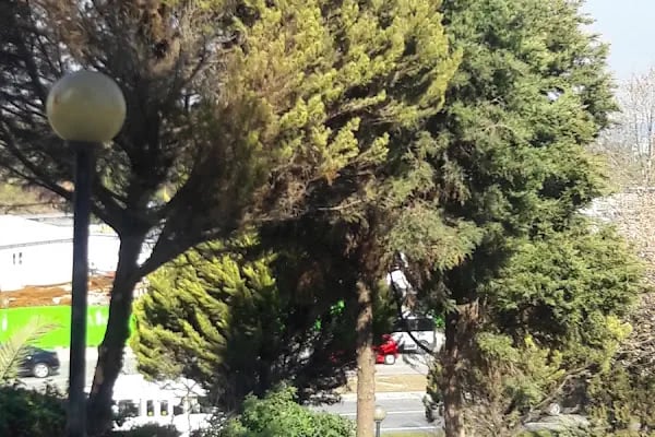 Güzel Sanatlar Parkı - Resim 18