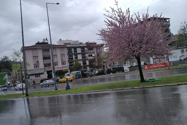 Mavi Deniz Tıp Merkezi - Resim 4