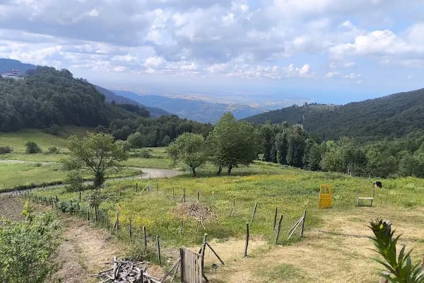 YAĞMUR DEDE CAFE RESTORAN - Resim 7
