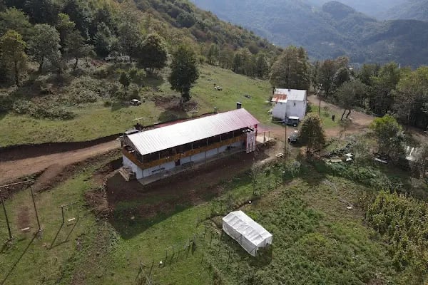 YAĞMUR DEDE CAFE RESTORAN - Resim 5