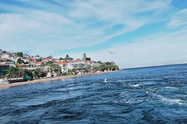 İstanbul Büyükşehir Belediyesi Heybeliada Spor Tesisi - Resim 2