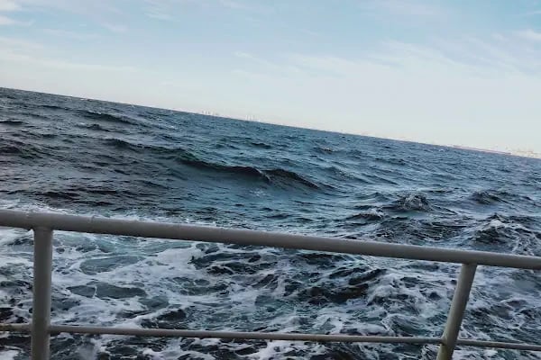 İstanbul Büyükşehir Belediyesi Heybeliada Spor Tesisi - Resim 19