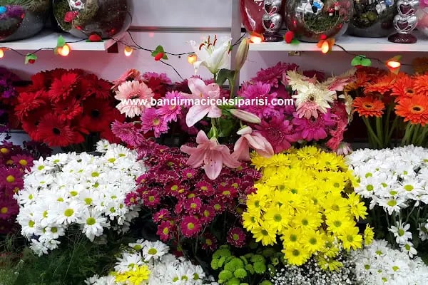 Bandırma Flora Çiçekçilik - Resim 10