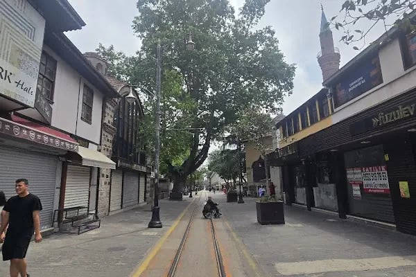 Ertuğrul Bey Camii - Resim 19