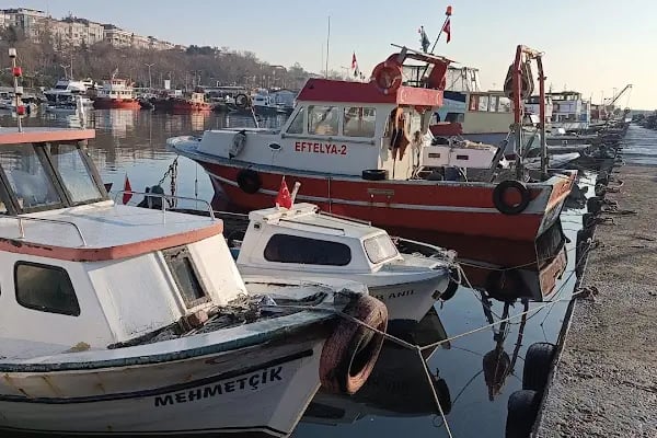 Ambarlı Balıkçı Barınağı - Resim 5