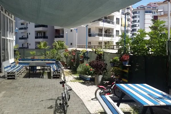 Alanya Jiu Jitsu Samurai Spor Kulübü - Resim 9