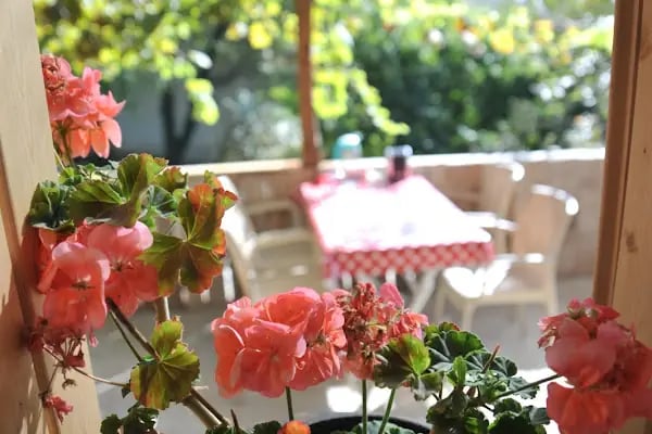 Bahçekaya Alabalık Evi - Resim 11
