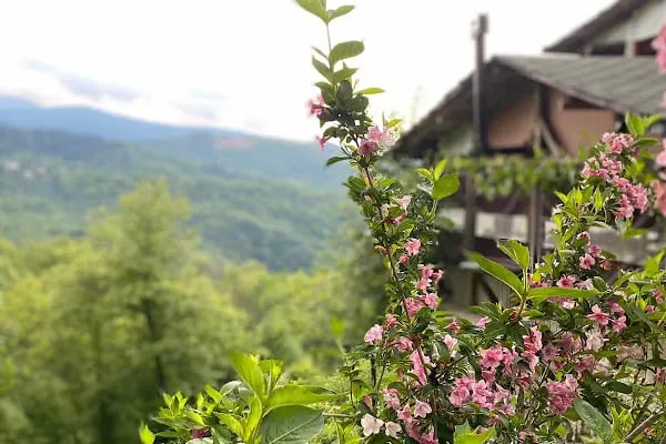 Bahçekaya Alabalık Evi - Resim 12