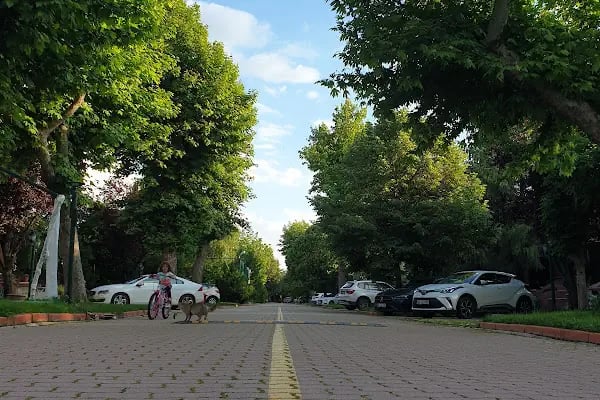 Dört mevsim evleri - Resim 12
