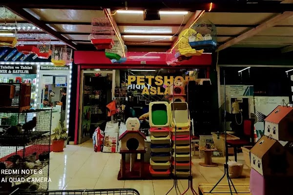 Aslan PETSHOP - Resim 18