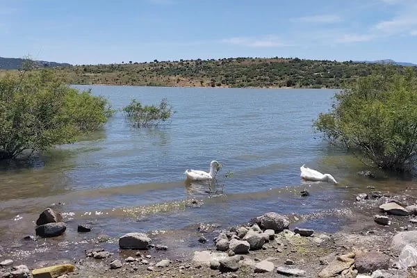 İzmir Aliağa Kapalı Ceza İnfaz Kurumu Müdürlüğü - Resim 4
