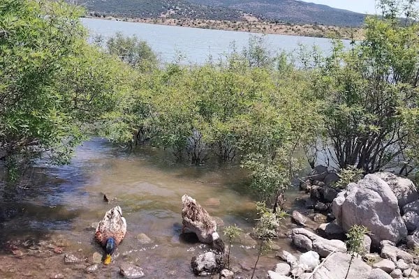 İzmir Aliağa Kapalı Ceza İnfaz Kurumu Müdürlüğü - Resim 3