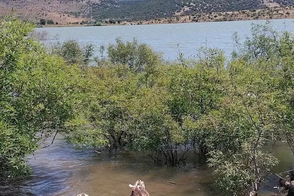 İzmir Aliağa Kapalı Ceza İnfaz Kurumu Müdürlüğü - Resim 1