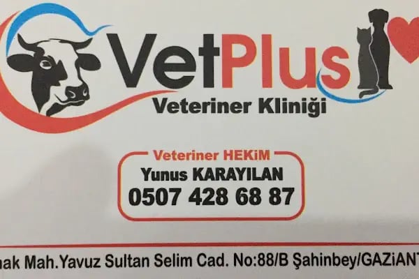 VETPLUS VETERİNER KLİNİĞİ - Resim 7