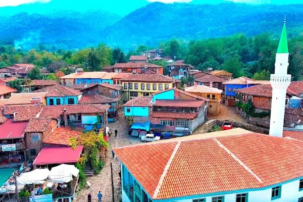 Gaia Mansion Cumalıkızık - Resim 4