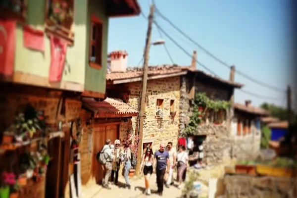 Gaia Mansion Cumalıkızık - Resim 20