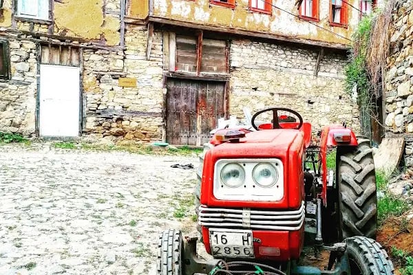 Gaia Mansion Cumalıkızık - Resim 8
