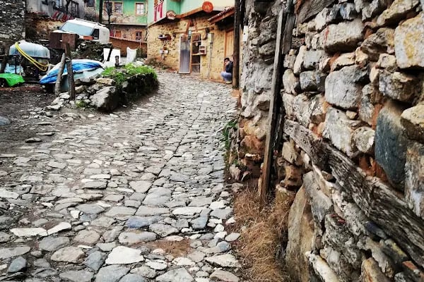 Gaia Mansion Cumalıkızık - Resim 3
