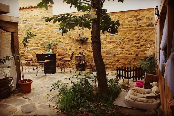 Gaia Mansion Cumalıkızık - Resim 1