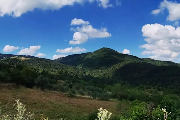 BURSA KARAVANLI BAHÇE - Resim 19