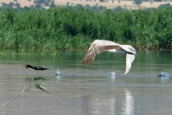 Işıklı Gölü Tekne Turu ve Kamp - Resim 19