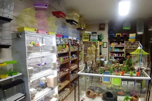 Hekimoğlu Petshop - Resim 7