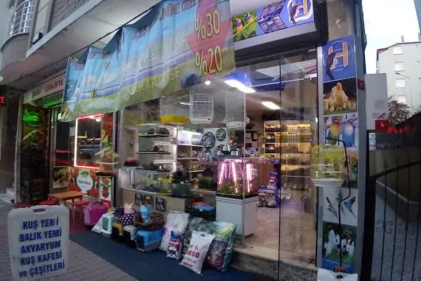 Hekimoğlu Petshop - Resim 1