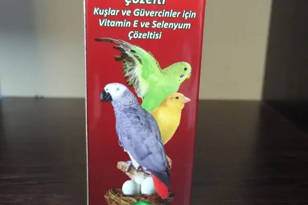 Hekimoğlu Petshop - Resim 9