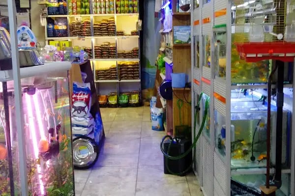 Hekimoğlu Petshop - Resim 19