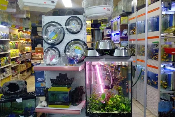 Hekimoğlu Petshop - Resim 13
