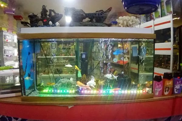 Hekimoğlu Petshop - Resim 8