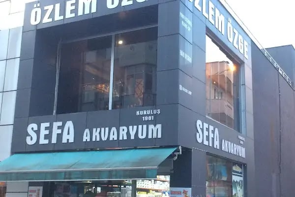 Sefa Akvaryum - Resim 2