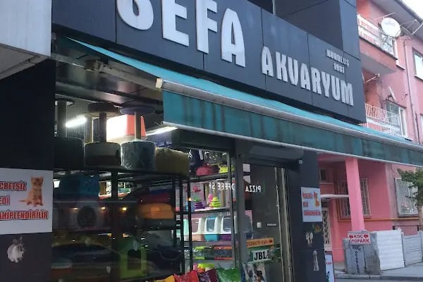 Sefa Akvaryum - Resim 11