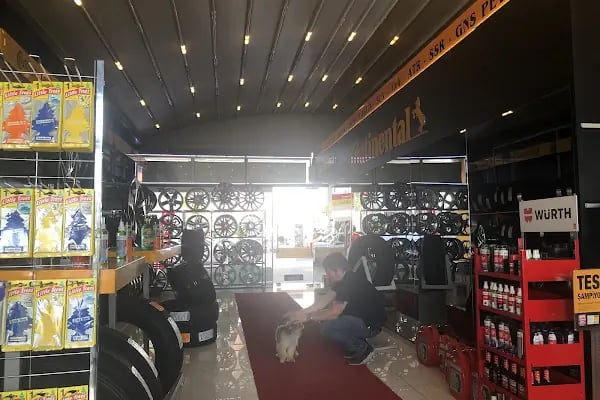 Continental | Ataşehir Performans - Resim 4